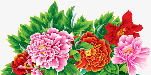 牡丹花開富貴圖 免費高清PNG素材，點綴你的創意設計