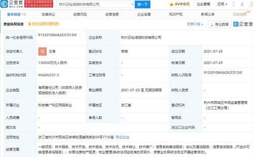 螞蟻集團成立云裕鴻啟科技，13億加碼信息系統集成服務